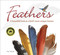 Feathers: A Beautiful Look at a Bird's Most Unique Feature