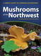 Mushrooms of the Northwest: A Simple Guide to Common Mushrooms