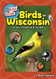 The Kids' Guide to Birds of Wisconsin: Fun Facts Activities and 86