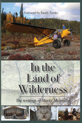 In the Land of Wilderness