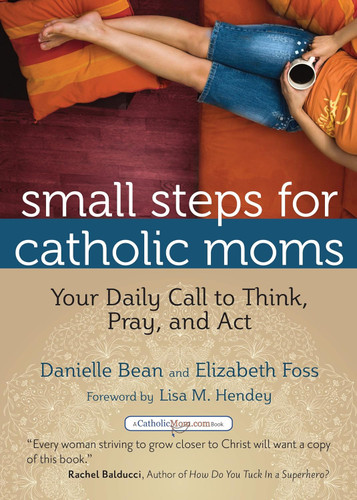 Small Steps for Catholic Moms: Your Daily Call to Think Pray and Act