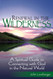 Renewal in the Wilderness: A Spiritual Guide to Connecting with God