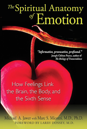 The Spiritual Anatomy of Emotion: How Feelings Link the Brain the