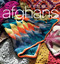 Unexpected Afghans: Innovative Crochet Designs with Traditional