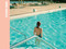 Stephen Shore: Survey