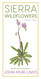 Sierra Wildflowers: A Hiker's Guide