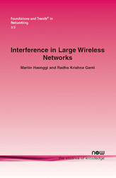 Interference in Large Wireless Networks