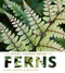 The Plant Lover's Guide to Ferns (The Plant Lover's Guides)