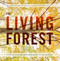 The Living Forest: A Visual Journey Into the Heart of the Woods