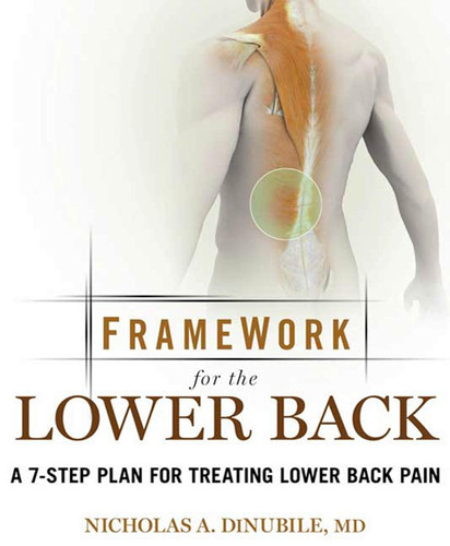 Framework for Lower Back