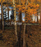 Eliot Porter: In the Realm of Nature