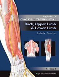 Back Upper Limb and Lower Limb