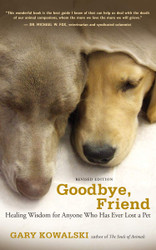 Goodbye Friend