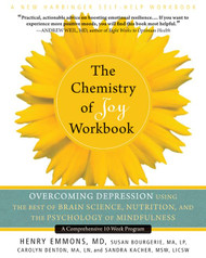 The Chemistry of Joy Workbook