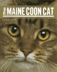 The Maine Coon Cat