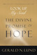 Look Up My Soul: The Divine Promise of Hope