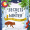 Secrets of Winter Secrets (A Shine-A-Light Book )