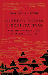 In the Footsteps of Bodhisattvas: Buddhist Teachings on the Essence