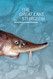 The Great Lake Sturgeon