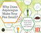Why Does Asparagus Make Your Pee Smell?: Fascinating Food Trivia