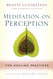 Meditation on Perception