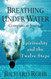 Breathing Under Water Companion Journal: Spirituality and the Twelve