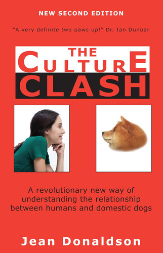 Culture Clash: A Revolutionary New Way of Understanding the