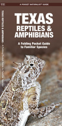 Texas Reptiles & Amphibians: A Folding Pocket Guide to Familiar