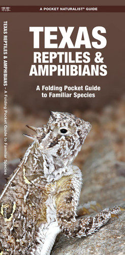 Texas Reptiles & Amphibians: A Folding Pocket Guide to Familiar