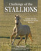 Challenge of the Stallions: The Legend of Cloud and the Wild Horses