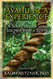 The Ayahuasca Experience