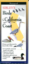 Sibley's Birds of the California Coast (Foldingguides)