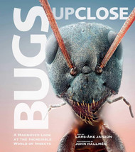 Bugs Up Close