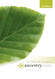 Official Guide to Ancestry.com