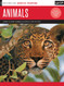 Acrylic: Animals: Learn to paint animals in acrylic step by step - 40