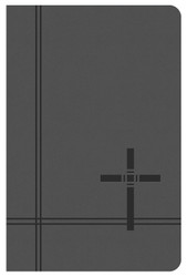 KJV Deluxe Gift & Award Bible (Gray) (King James Bible)