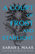 A Court of Frost and Starlight (A Court of Thorns and Roses 4)