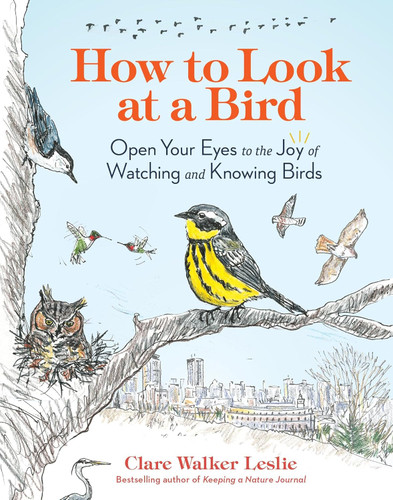 How to Look at a Bird: Open Your Eyes to the Joy of Watching and