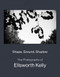 Shape Ground Shadow: The Photographs of Ellsworth Kelly