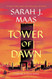Tower of Dawn (Throne of Glass 6)