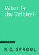 What Is the Trinity? (Crucial Questions)