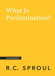 What Is Predestination? (Crucial Questions)