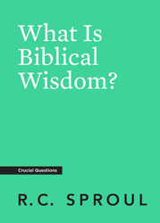 What Is Biblical Wisdom? (Crucial Questions)