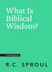 What Is Biblical Wisdom? (Crucial Questions)