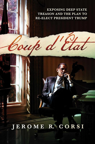 Coup d'?dtat: Exposing Deep State Treason and the Plan to Re-Elect