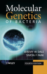 Molecular Genetics Of Bacteria