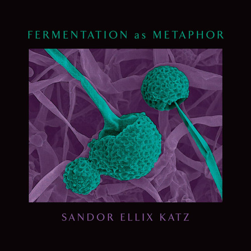 Fermentation as Metaphor: From the Author of the Bestselling "The Art