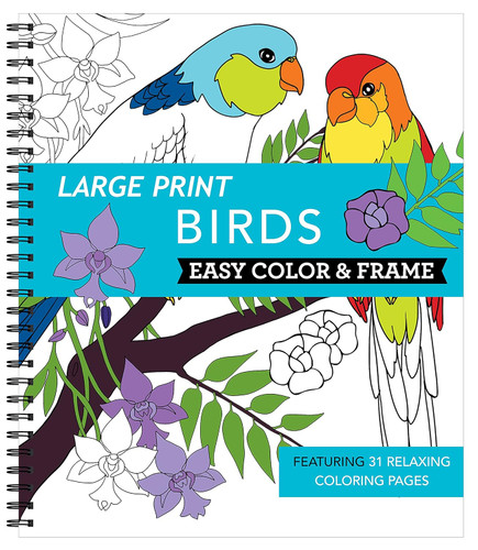 Large Print Easy Color & Frame - Birds