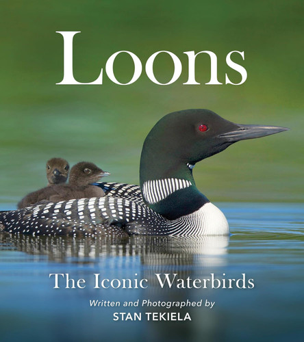 Loons: The Iconic Waterbirds (Favorite Wildlife)