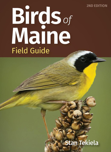 Birds of Maine Field Guide (Bird Identification Guides)